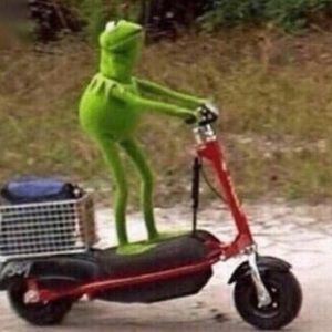 Meet your Posher, Jaden